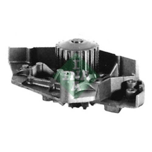 Schaeffler INA Wasserpumpe, Motorkühlung