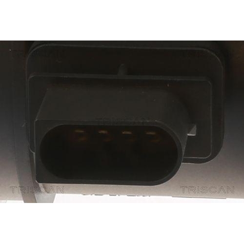 TRISCAN Luftmassenmesser