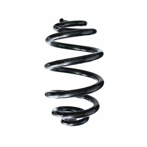 SPIDAN Fahrwerksfeder