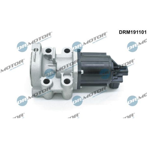Dr.Motor Automotive AGR-Ventil