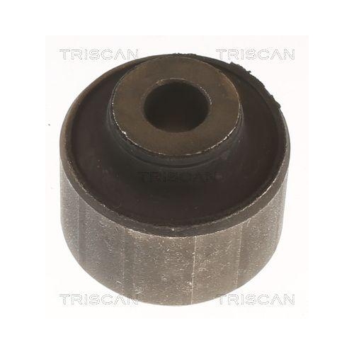 TRISCAN Lagerung, Lenker