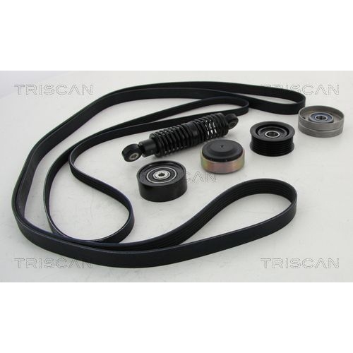 TRISCAN Keilrippenriemensatz