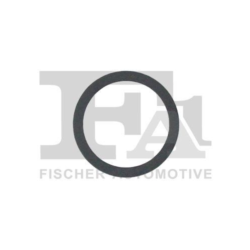 FA1 Dichtring, Abgasrohr
