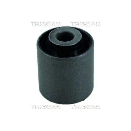 TRISCAN Lagerung, Lenker