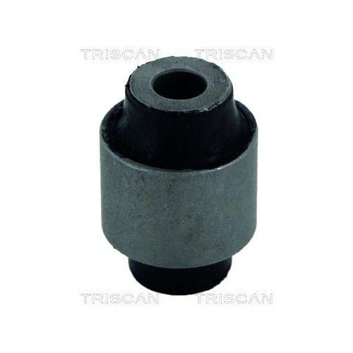 TRISCAN Lagerung, Lenker