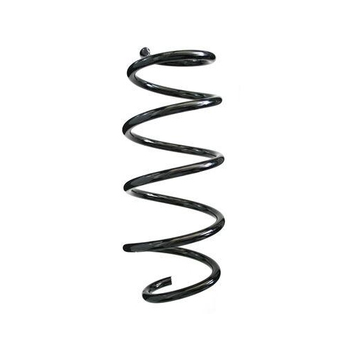 SPIDAN Fahrwerksfeder