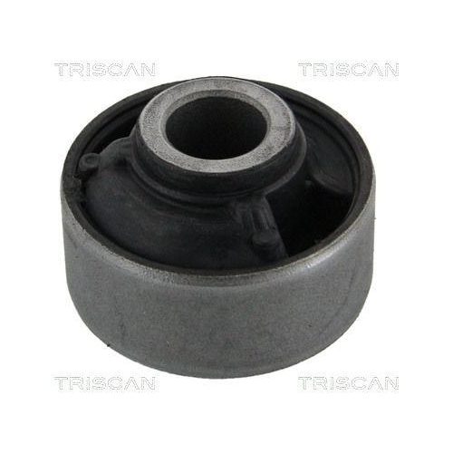 TRISCAN Lagerung, Lenker