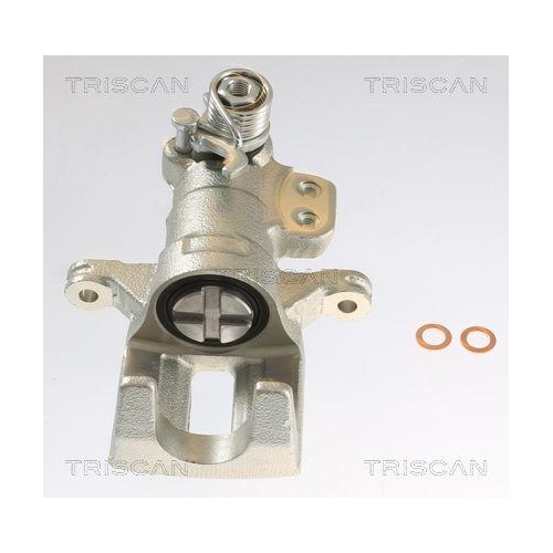 TRISCAN Bremssattel