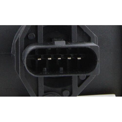 TRISCAN Luftmassenmesser
