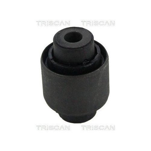 TRISCAN Lagerung, Lenker