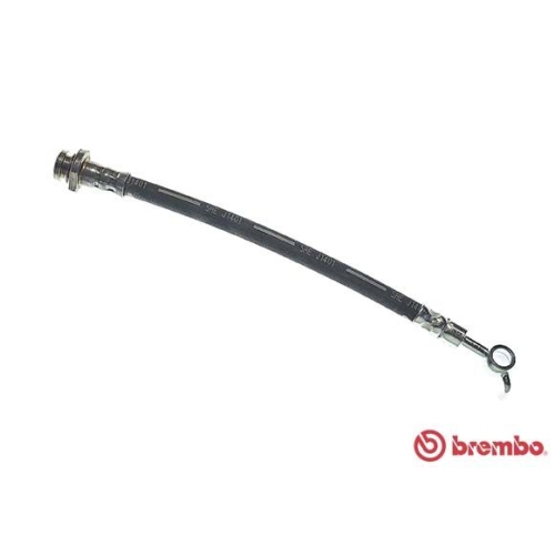 BREMBO Bremsschlauch ESSENTIAL LINE