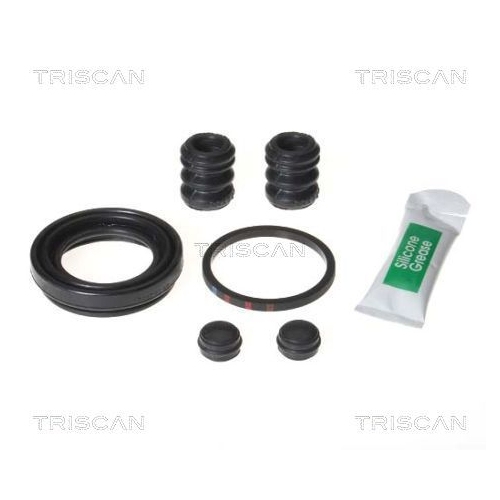 TRISCAN Reparatursatz, Bremssattel