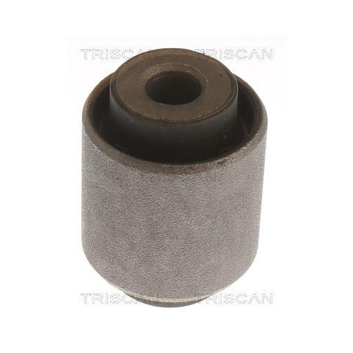 TRISCAN Lagerung, Lenker