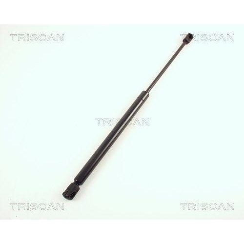 TRISCAN Gasfeder, Koffer-/Laderaum