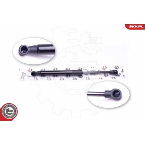 ESEN SKV Gasfeder, Koffer-/Laderaum