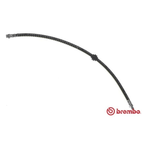 BREMBO Bremsschlauch ESSENTIAL LINE