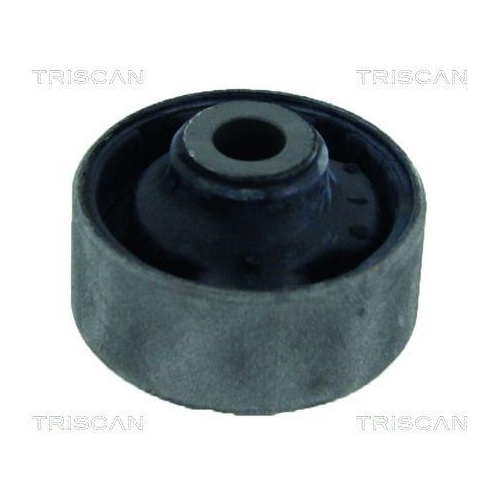 TRISCAN Lagerung, Lenker