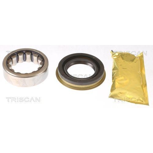 TRISCAN Radlagersatz