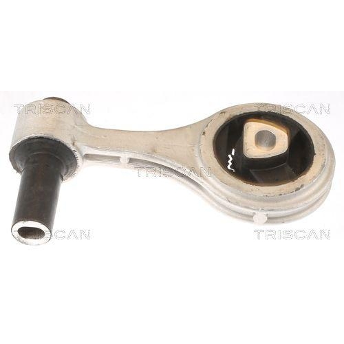 TRISCAN Lagerung, Motor