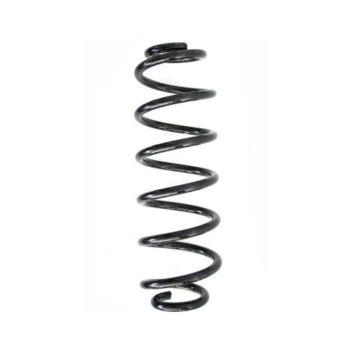 SPIDAN Fahrwerksfeder