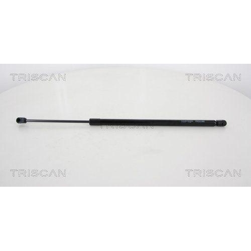 TRISCAN Gasfeder, Koffer-/Laderaum