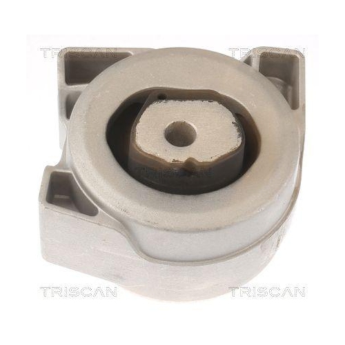 TRISCAN Lagerung, Motor