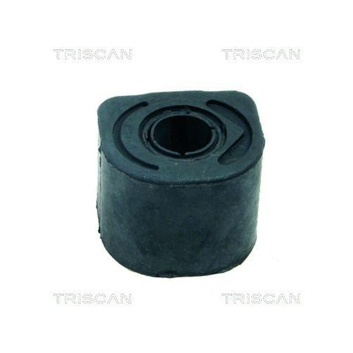 TRISCAN Lagerung, Lenker