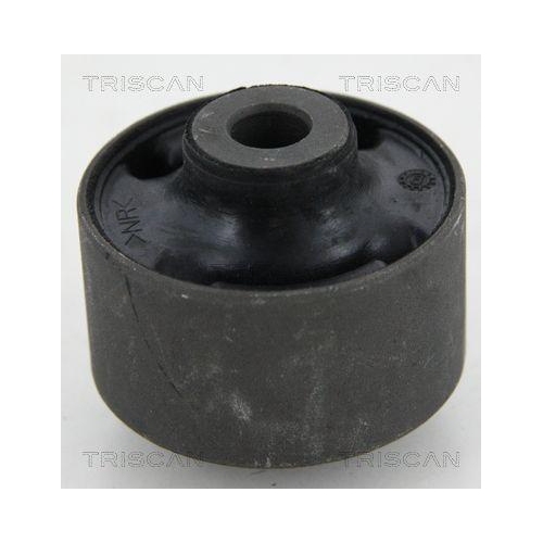 TRISCAN Lagerung, Lenker