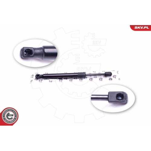 ESEN SKV Gasfeder, Koffer-/Laderaum