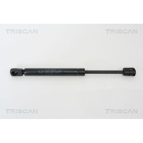 TRISCAN Gasfeder, Koffer-/Laderaum