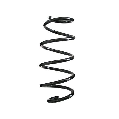 SPIDAN Fahrwerksfeder