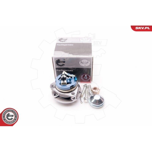 ESEN SKV Radlagersatz