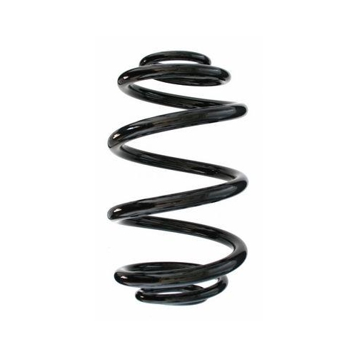 SPIDAN Fahrwerksfeder