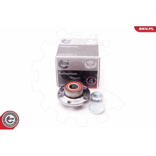 ESEN SKV Radlagersatz
