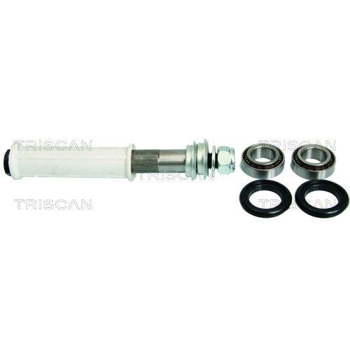 TRISCAN Reparatursatz, Querlenker