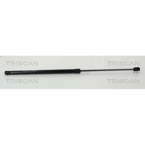 TRISCAN Gasfeder, Koffer-/Laderaum