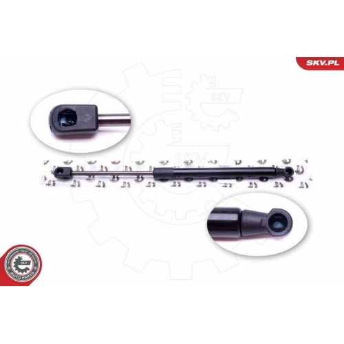 ESEN SKV Gasfeder, Koffer-/Laderaum