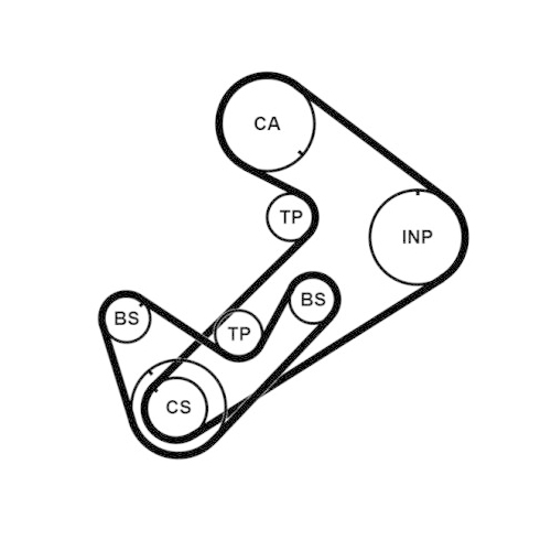 CONTINENTAL CTAM Zahnriemensatz