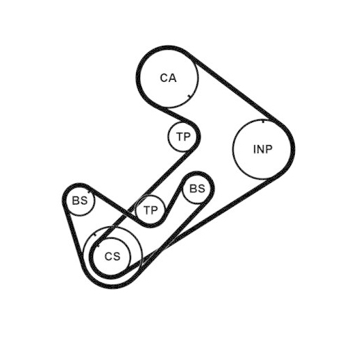 CONTINENTAL CTAM Zahnriemensatz