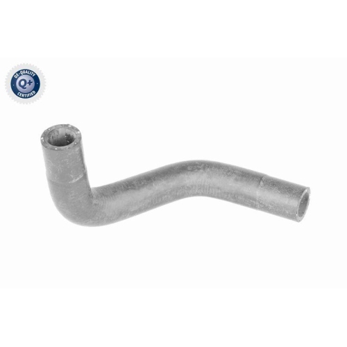 VAICO K&uuml;hlerschlauch Green Mobility Parts