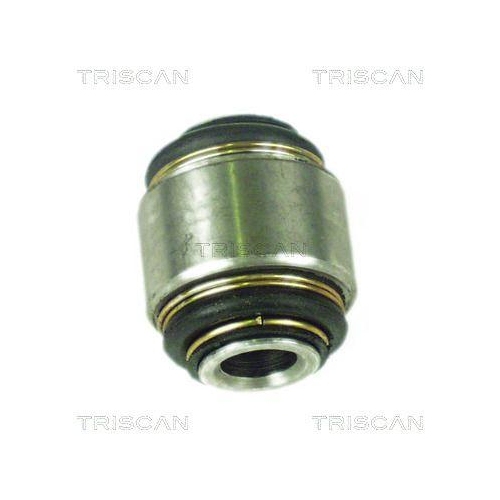 TRISCAN Lagerung, Lenker