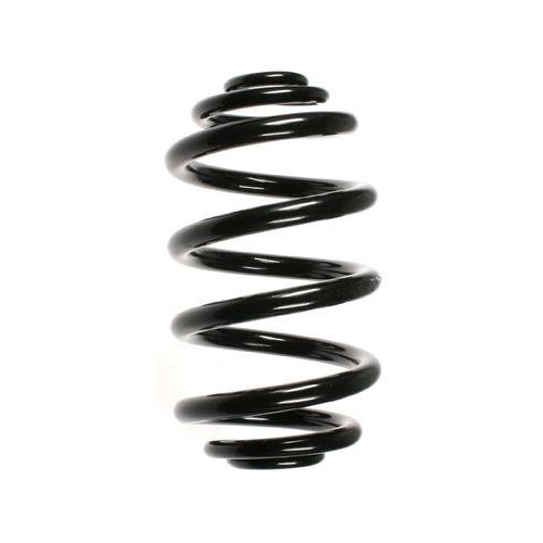 SPIDAN Fahrwerksfeder