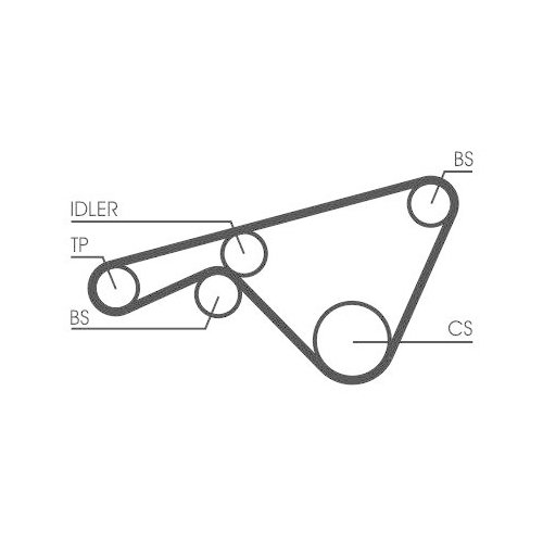 CONTINENTAL CTAM Zahnriemen