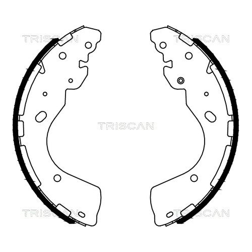 TRISCAN Bremsbackensatz