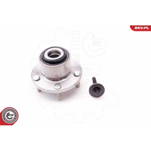 ESEN SKV Radlagersatz