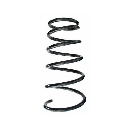 SPIDAN Fahrwerksfeder