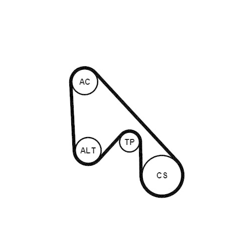 CONTINENTAL CTAM Keilrippenriemensatz