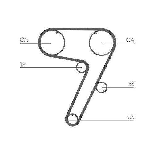 CONTINENTAL CTAM Zahnriemen