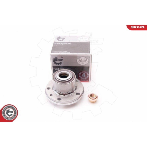 ESEN SKV Radlagersatz
