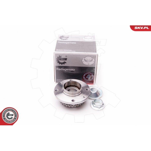 ESEN SKV Radlagersatz